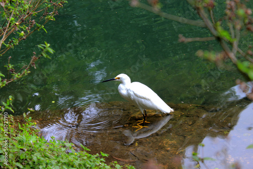 Ibirapuera