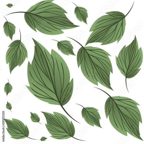 pattern of branch and leaf icon