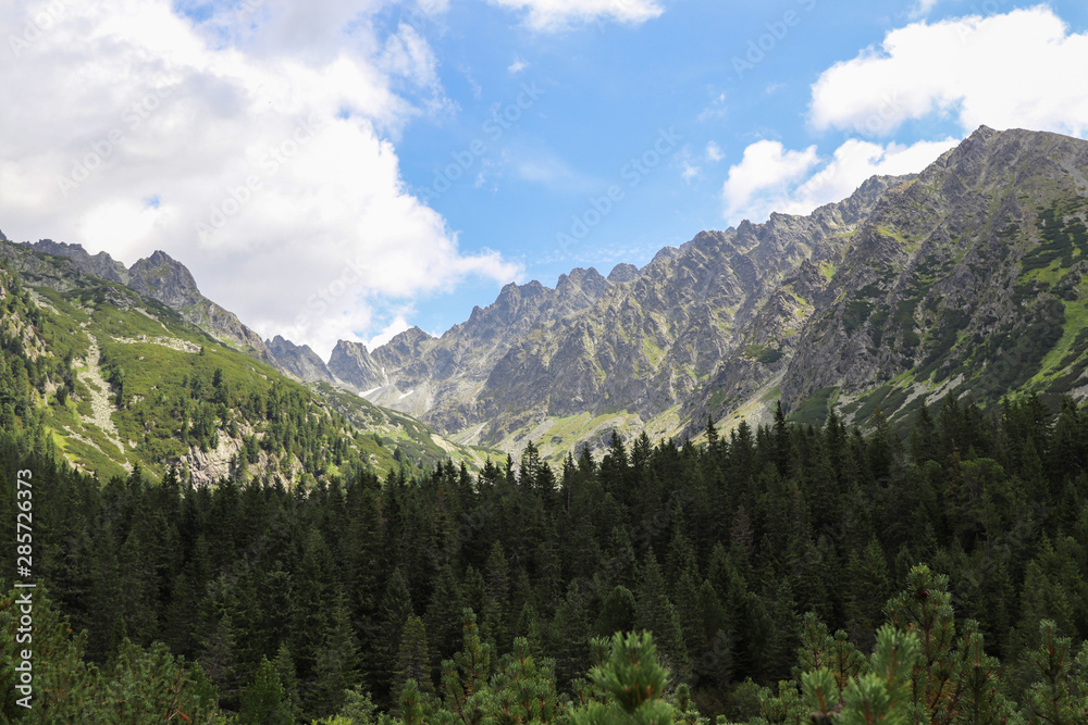 View of mountain peaks in summer time in High Tatras with cloudy sky.