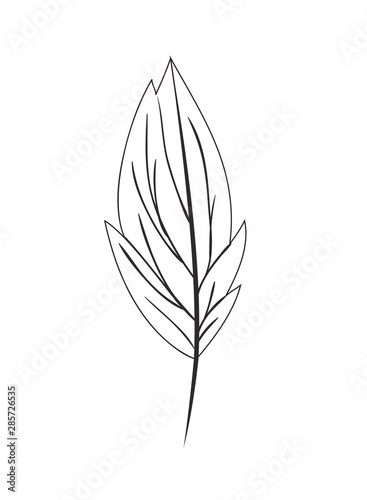 branch with leaf isolated icon