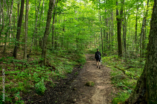 female hiking with dog © bhamms