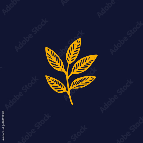 Sketch branch of leaves by hand