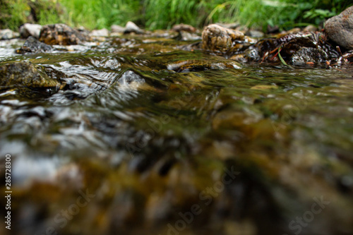 stream in the forest