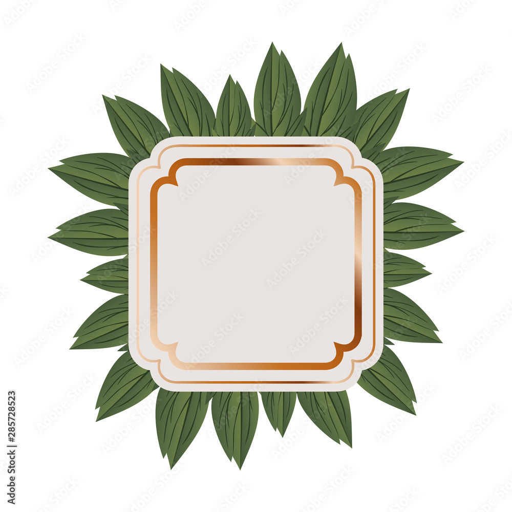 Fotografie frame with branch and leaf isolated icon