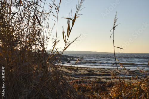 Autumn beach