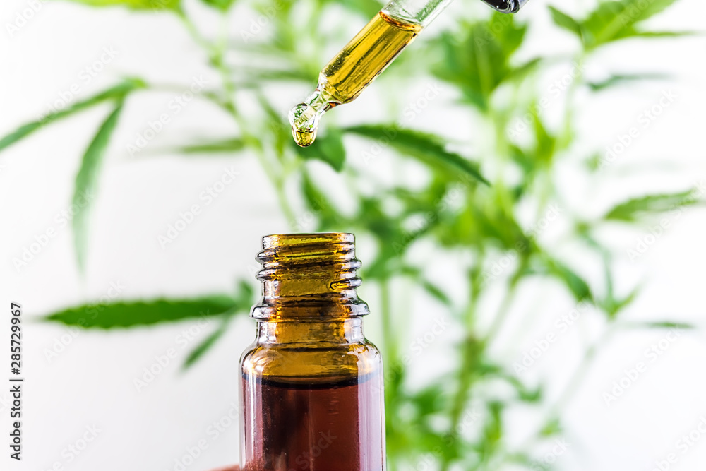 Hand holding eye dropper bottle of Cannabis oil against Marijuana plant Hand holding eye dropper bottle of Cannabis oil against Marijuana plant