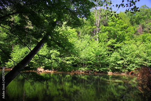 Canvas-taulu Mohican River in Summer, Mohican State Park, Ohio