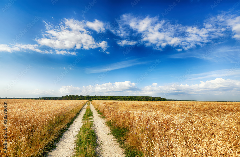 Beautiful cloudy sky over summer fields Beautiful cloudy sky over summer fields