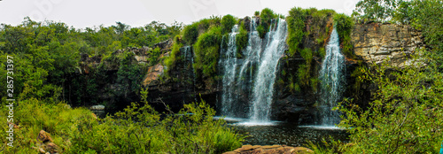 Serra da Canastra - Delfin  polis - MG