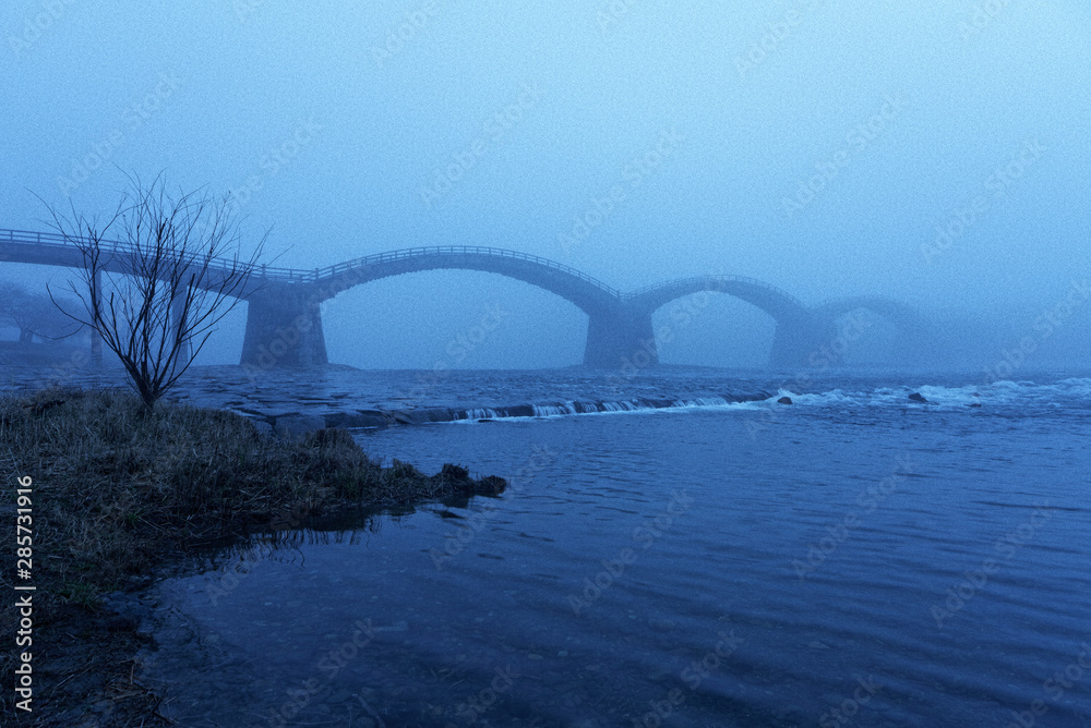 Obraz premium 霧の錦帯橋 #青き水面 / 山口県岩国市