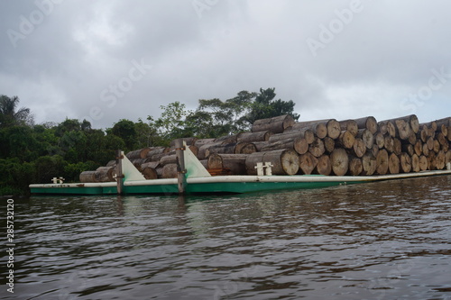 madeira em balsa na amazônia