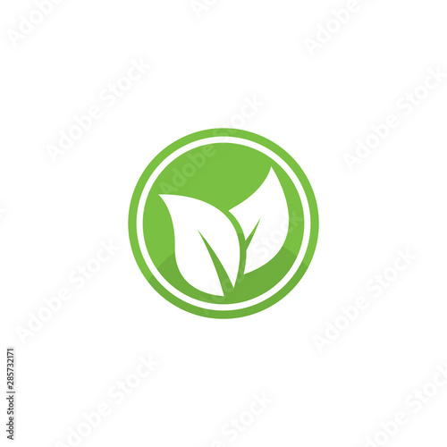 Wallpaper Mural Eco Tree Leaf Logo Template design  Torontodigital.ca