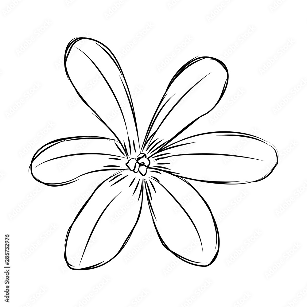 Abstract cute flower Abstract cute flower