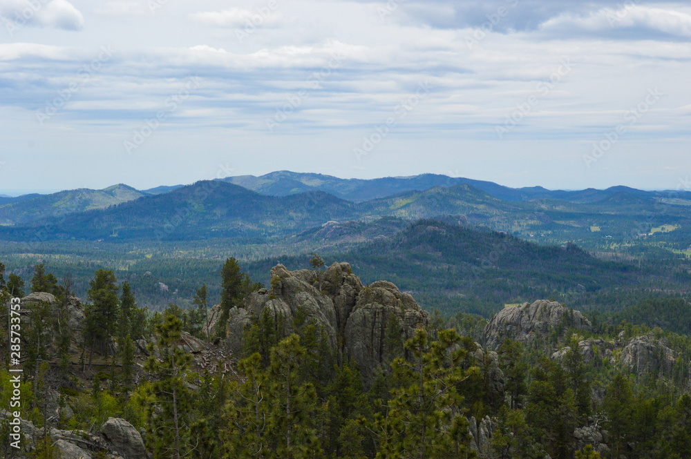 Expansive landscape view from one of Custer State Park's overlooks