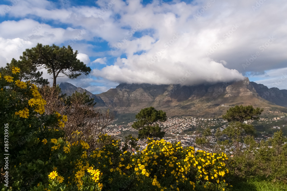 Obraz premium Panoramic view with Table Mountain, Cape Town