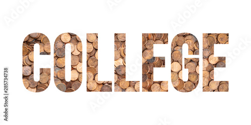 Canvas Print College and University Debt Concept, Coins and Pennies Concept