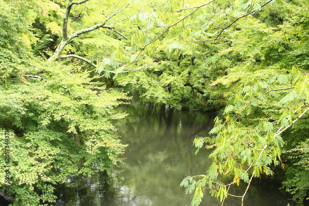 Obraz premium 湯布院町 風景