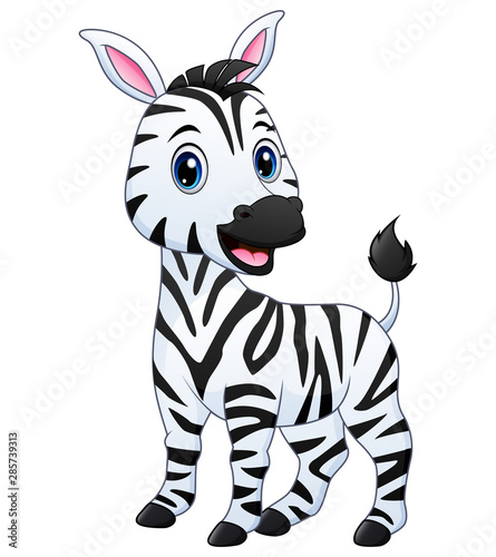 A baby zebra cartoon