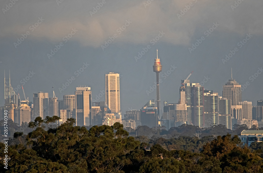 Fototapeta premium Sydney sunset