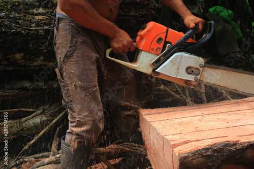 A view of a tree trunk being cut in even pieces with a running chainsaw