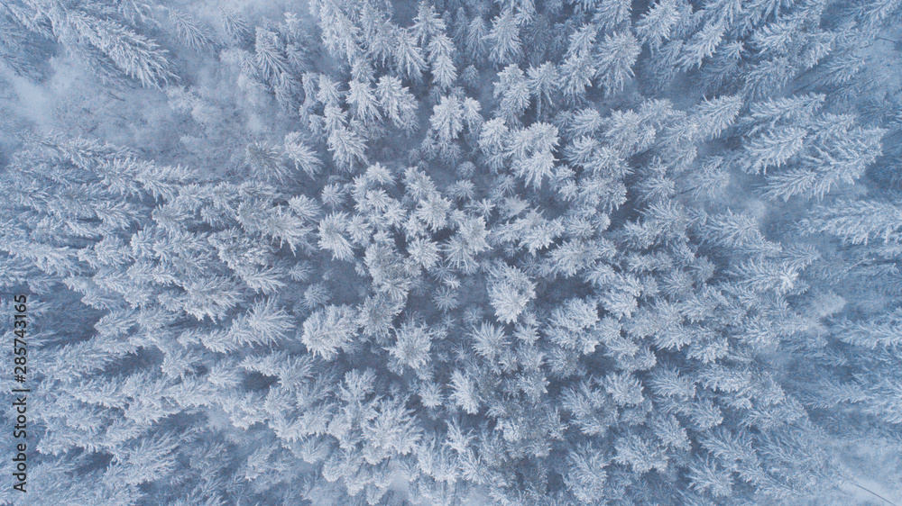 background of snow background of snow