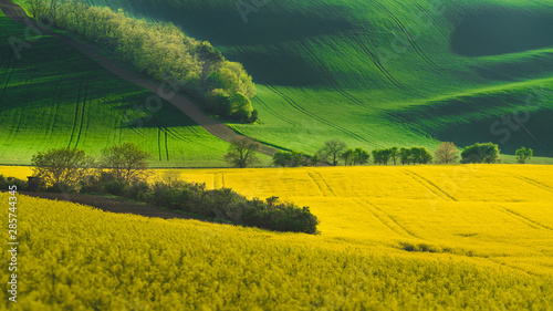 Spring in the field s waves of South Moravia, Czech Republuc