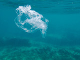 Plastic bag littering the ocean