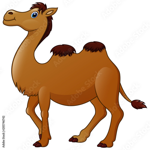 Cute a camel cartoon