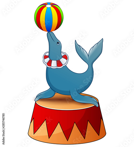 Fur seal plays a ball on the stage of a circus