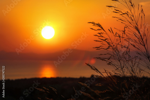 Gold calm seaside sunset wallpaper