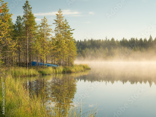Misty pond in the morning