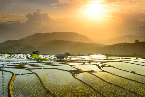 terraced fields on the mountain