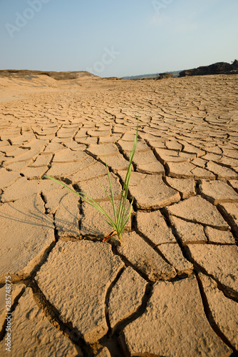dry cracks in the land, serious water shortages 