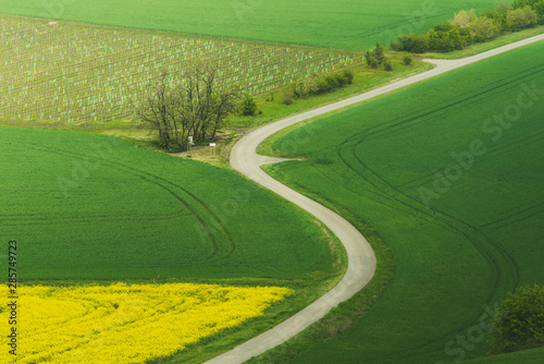 Spring in the field s waves of South Moravia, Czech Republuc