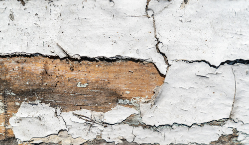 Wooden texture background. Old wood texture with white peeling paint. Grey and brown colours of wood. Different cracks. Background for text or design