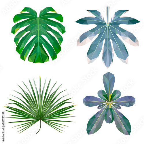 trendy low poly set of four tropical leaves, botanical sketch of  vector graphic colour illustration on white background