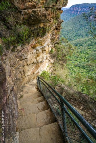 hiking in the blue mountains national park, australia