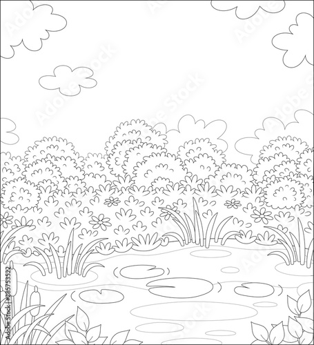 Small picturesque pond on a...