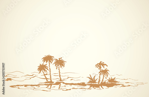 Mirage in the desert. Vector drawing