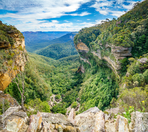 Fototapeta Naklejka Na Ścianę i Meble -  hiking in the blue mountains national park, australia