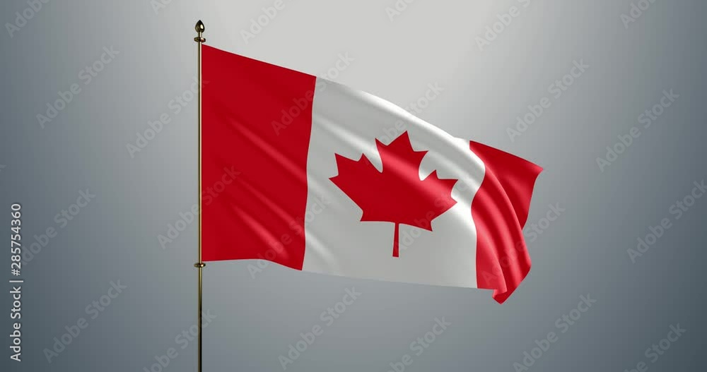 Canada realistic 3D waving flag in loop animated motion graphic 4K video. Canadian wavy pennant on a flagpole with alpha channel Canada realistic 3D waving flag in loop animated motion graphic 4K video. Canadian wavy pennant on a flagpole with alpha channel