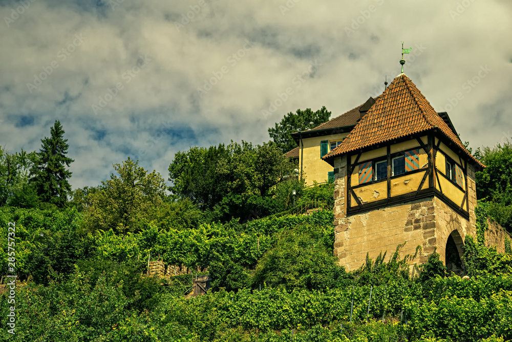 An old watchtower between the vineyards of Esslingen