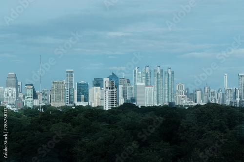 Urban cityscape and green forest in the city