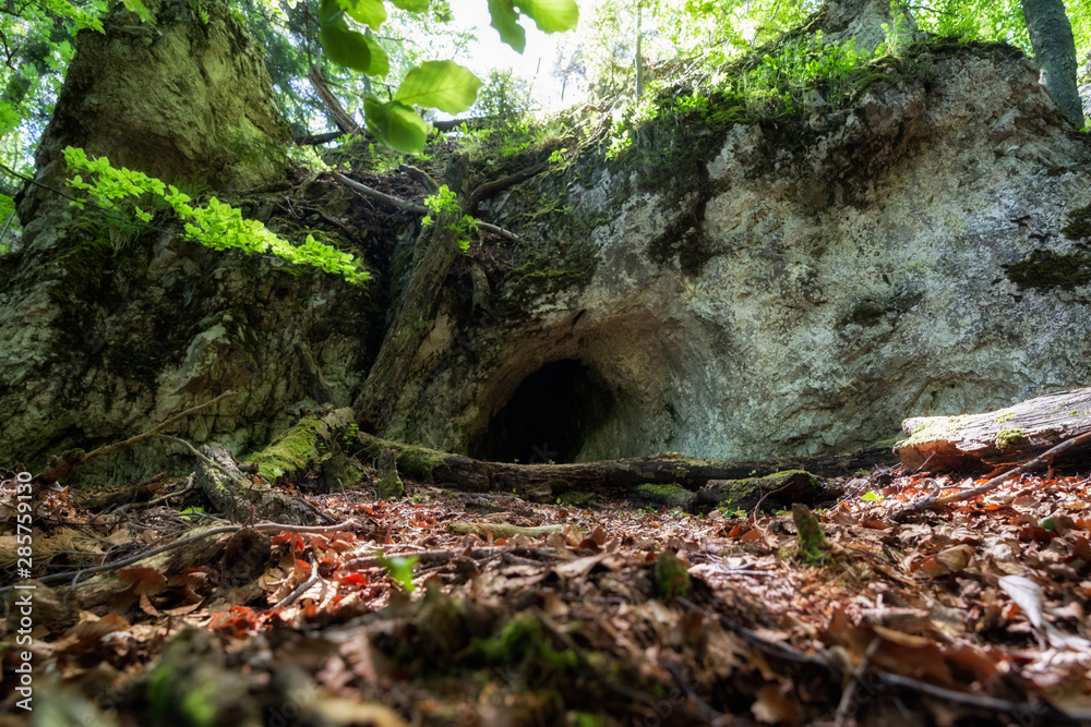 Small cave in forest