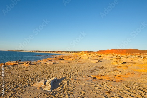 Scenic panoramic view of remote Kimberley coast in Western Australia, with pristine beach, calm ocean and sunny blue sunset sky as background and copy space.