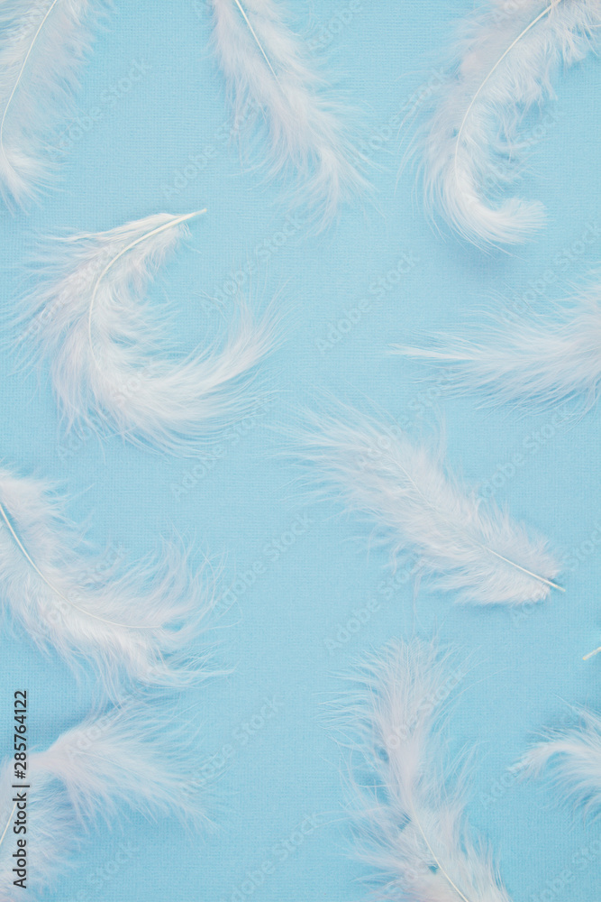 Obraz premium Gentle soft white feathers pattern over pastel background