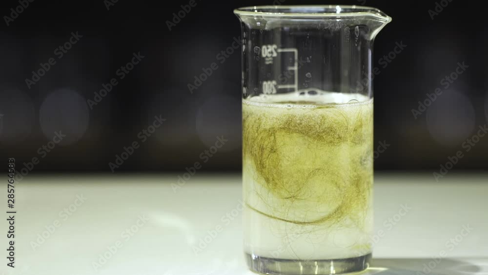 Time lapse of Hair dissolves in a chemicals