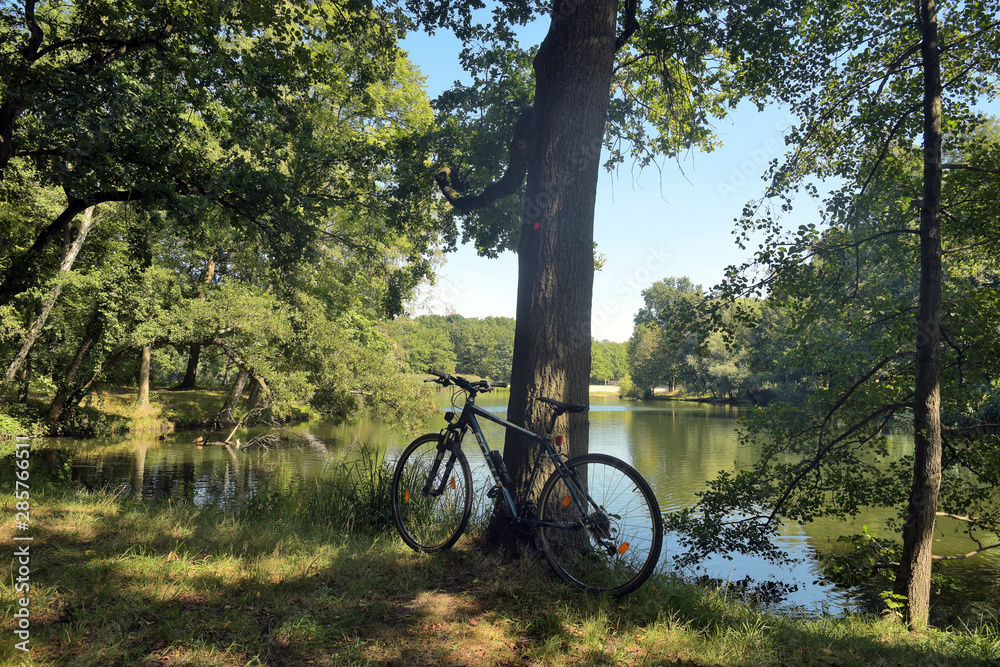 Fototapeta premium fahrradtour