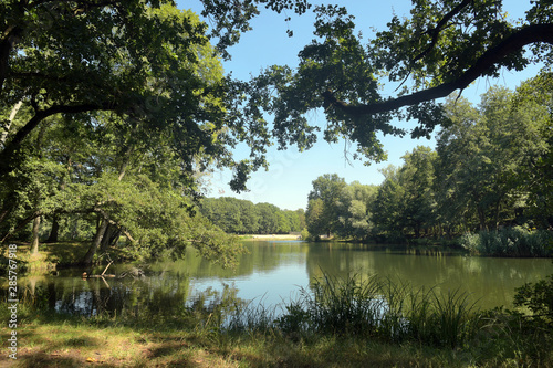 volkspark jungfernheide