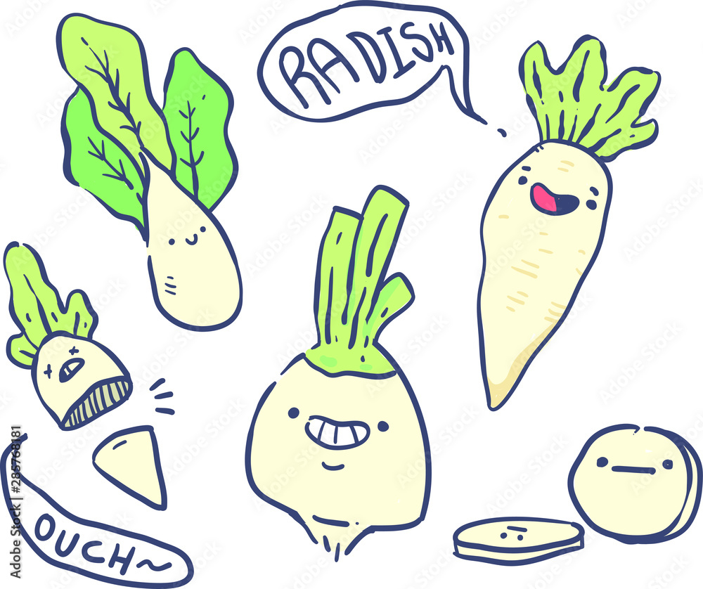 cartoon style radish doodle . Radish vector illustration cartoon style radish doodle . Radish vector illustration